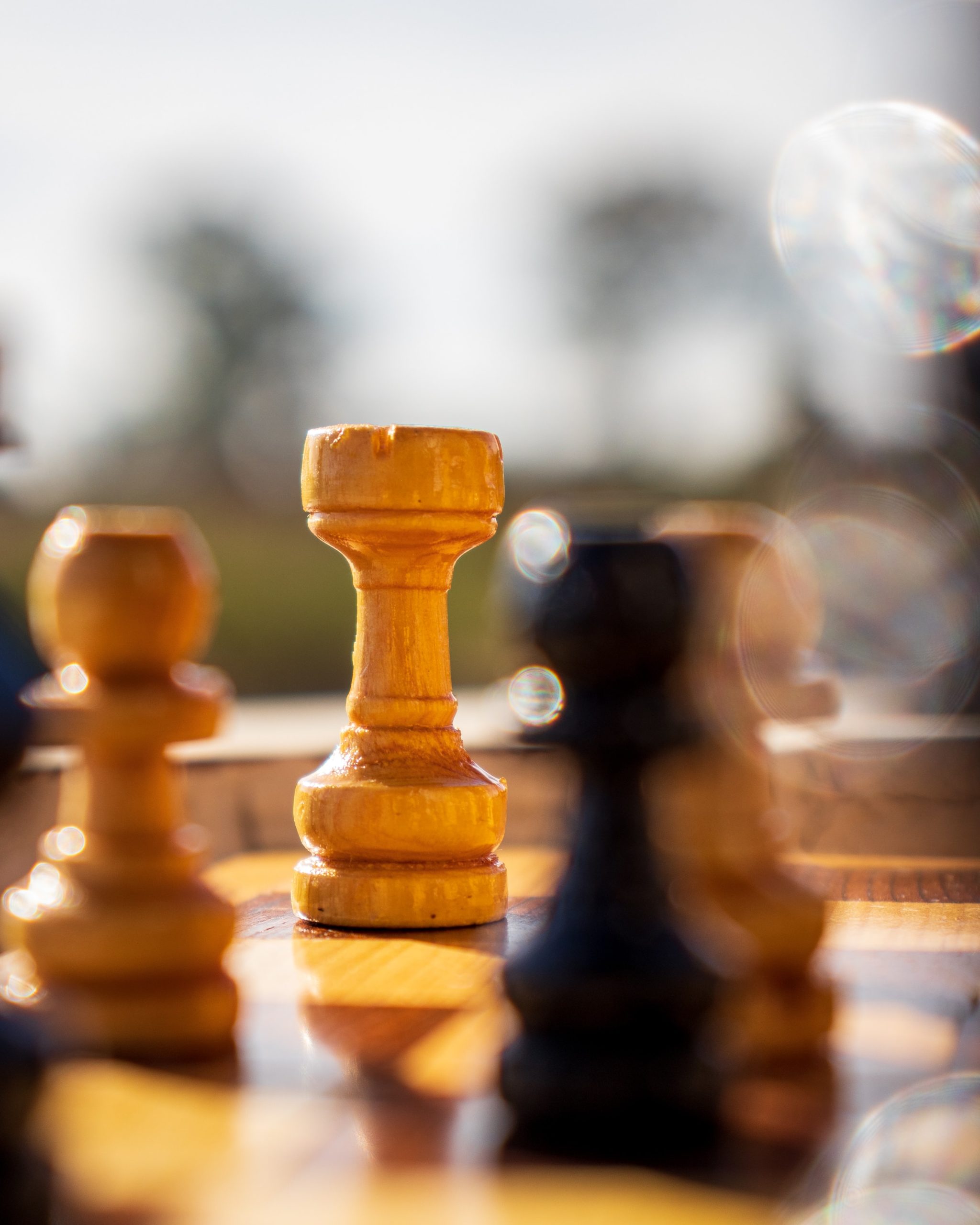 Quantifying human performance in chess